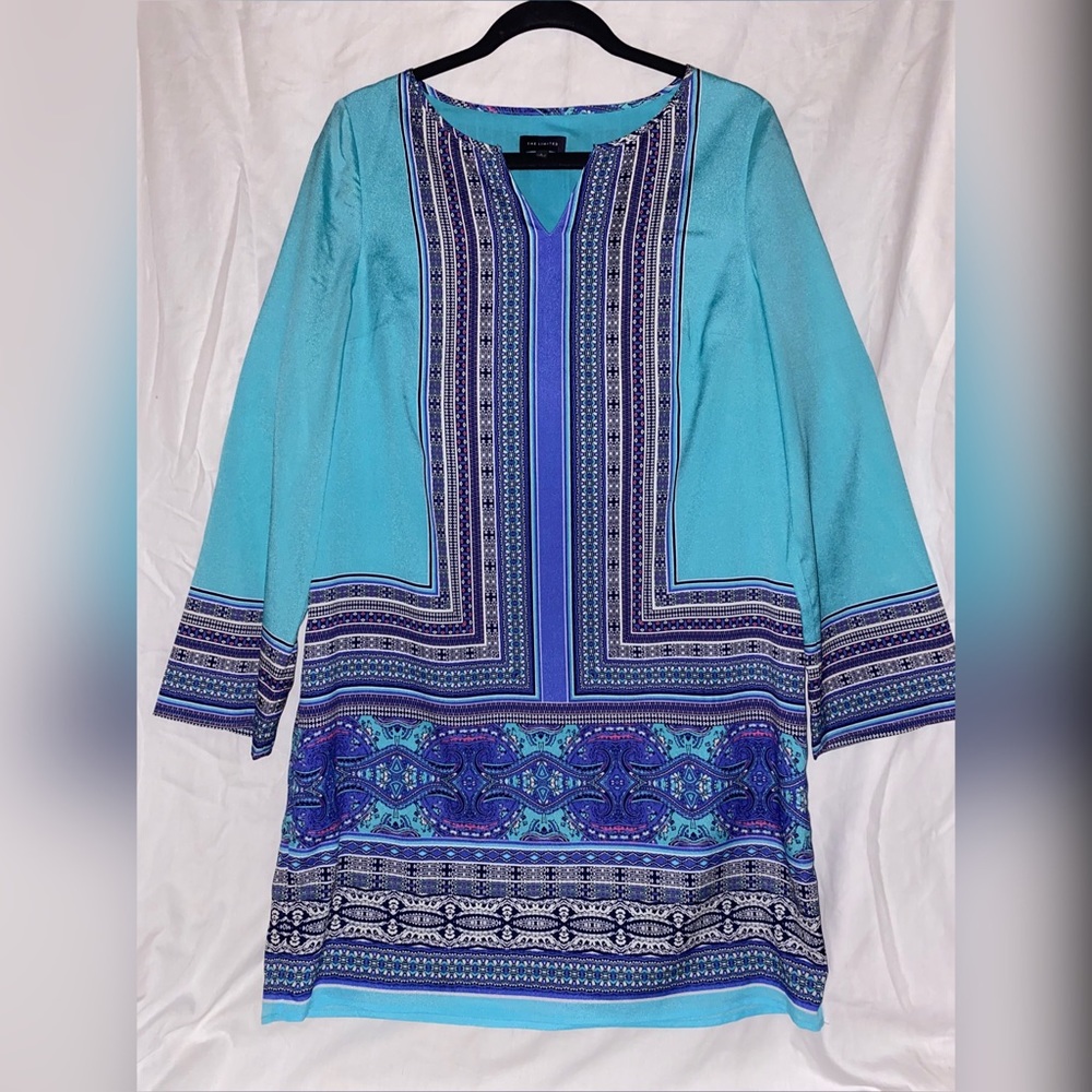Size Large The Limited Oriental Inspired Dress